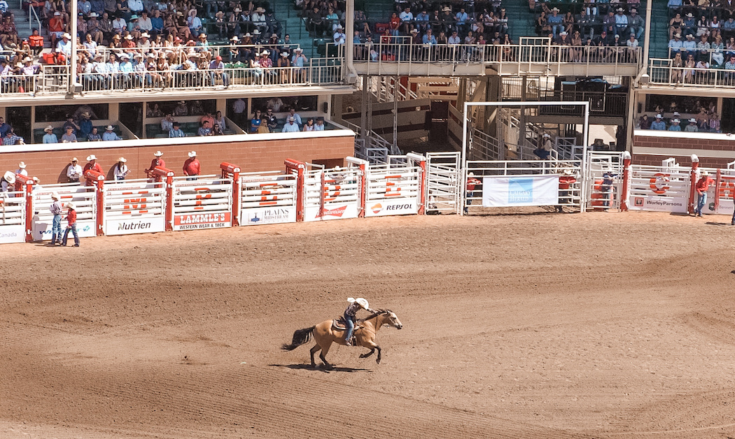 How to Spend a Day at the Calgary Stampede