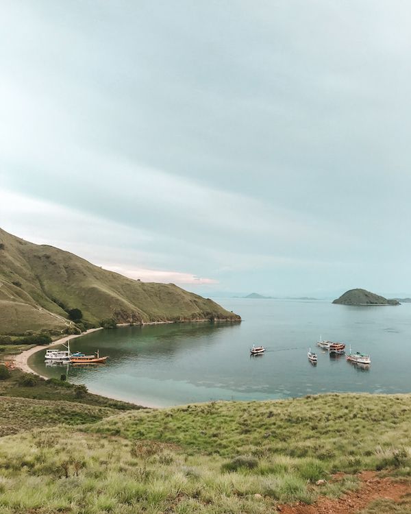 komodo dragon cruise