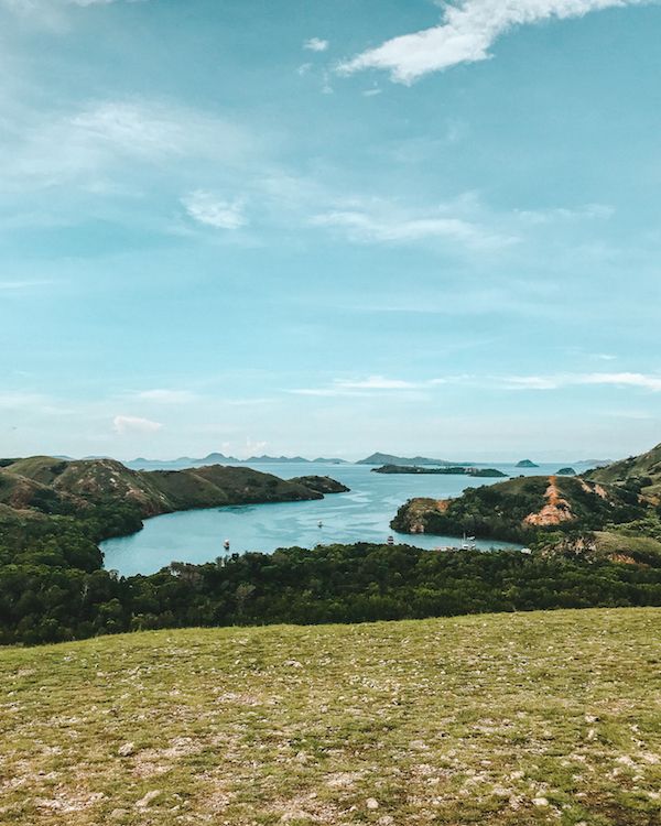 komodo dragon cruise