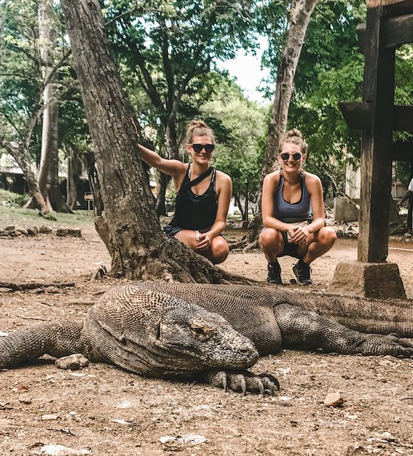 komodo dragon cruise