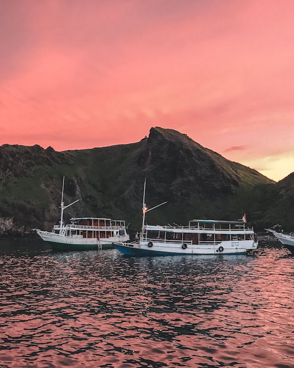 komodo dragon cruise