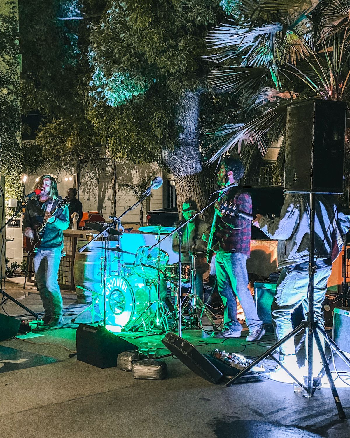 Live music at Fox