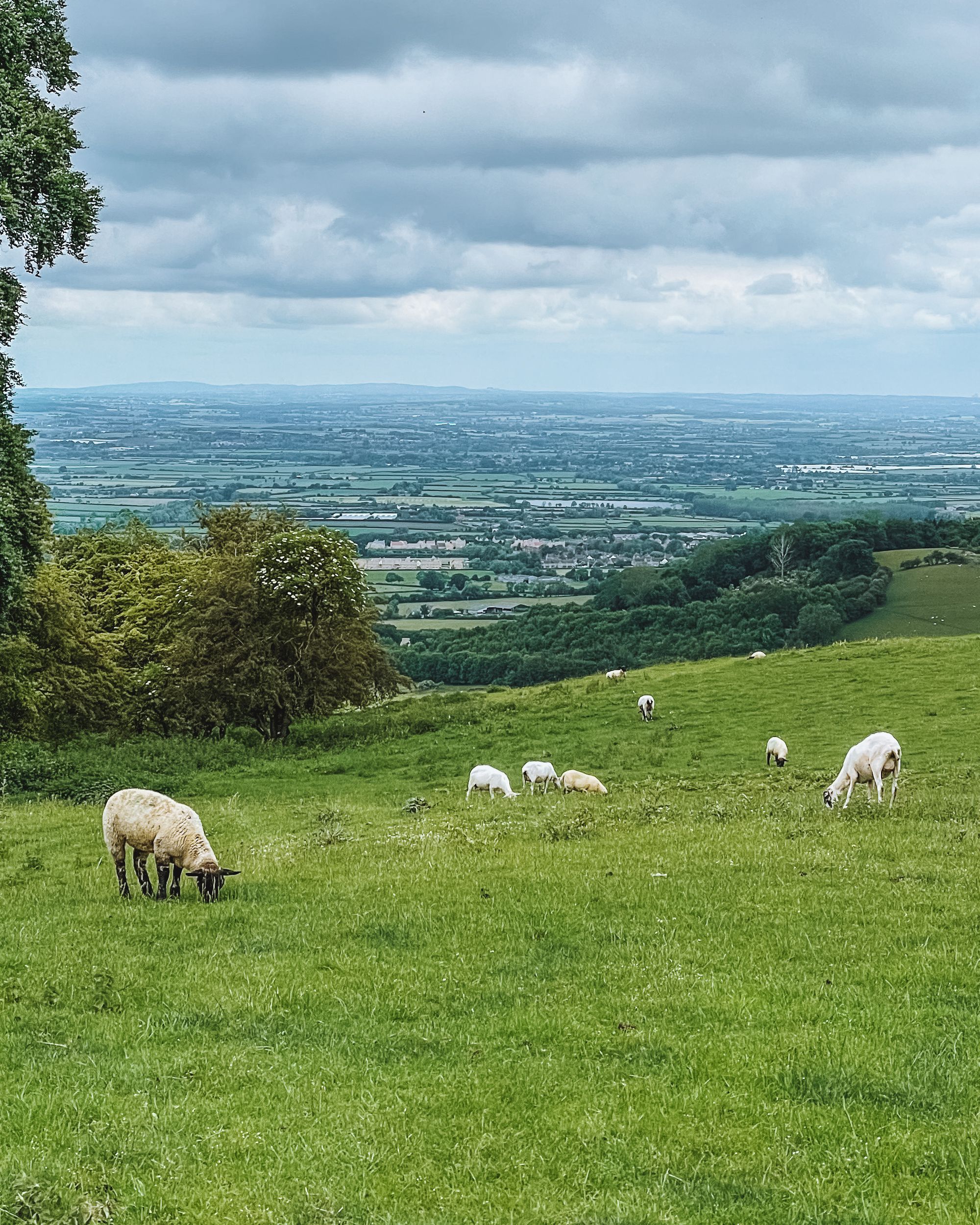 cotswolds 2 day trip