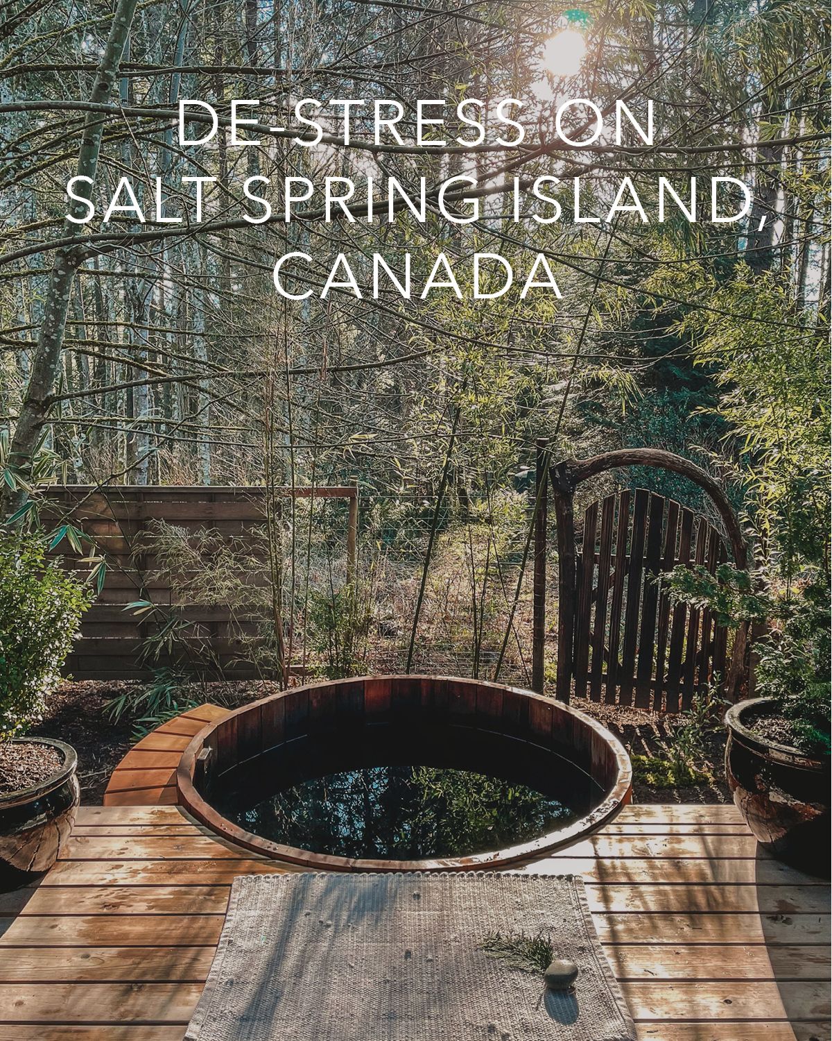 SaltSpringRelax