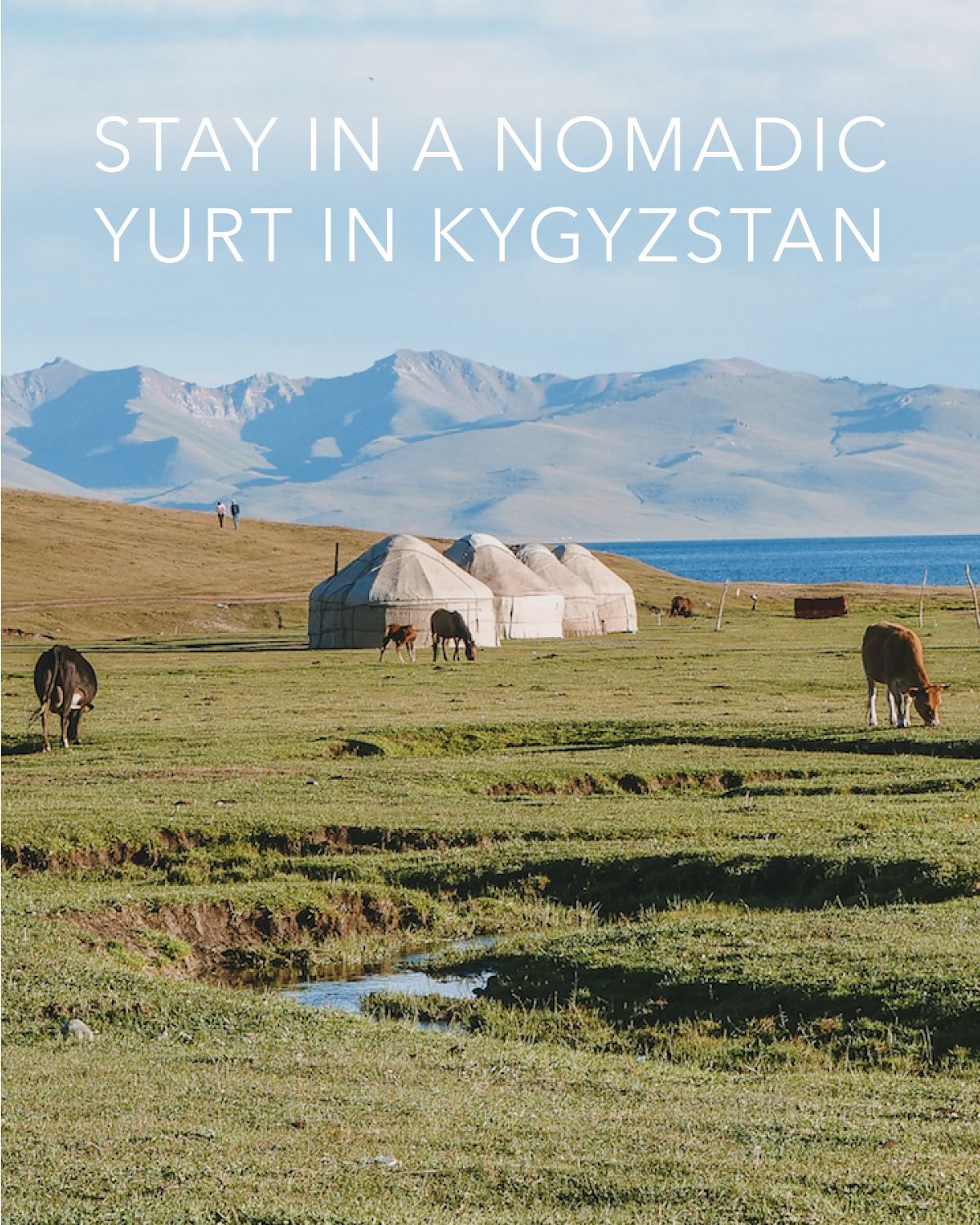 YurtCamp