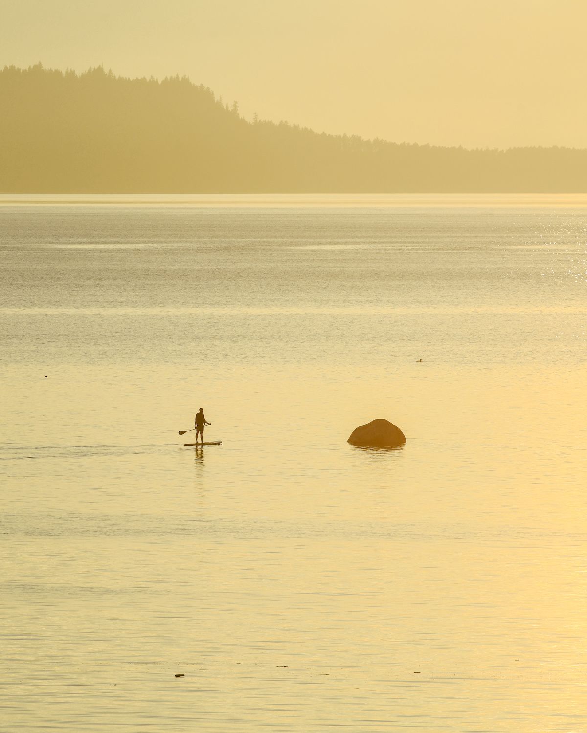 yacht hornby island