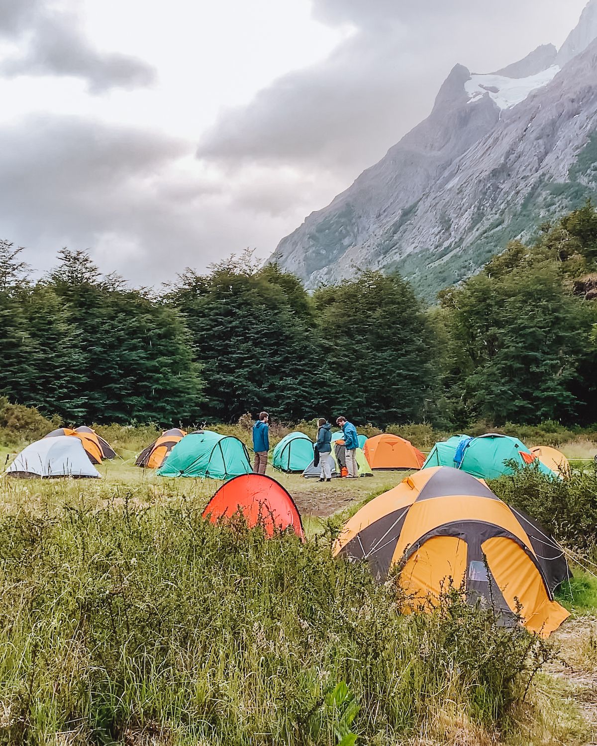 w trek torres del paine campsites