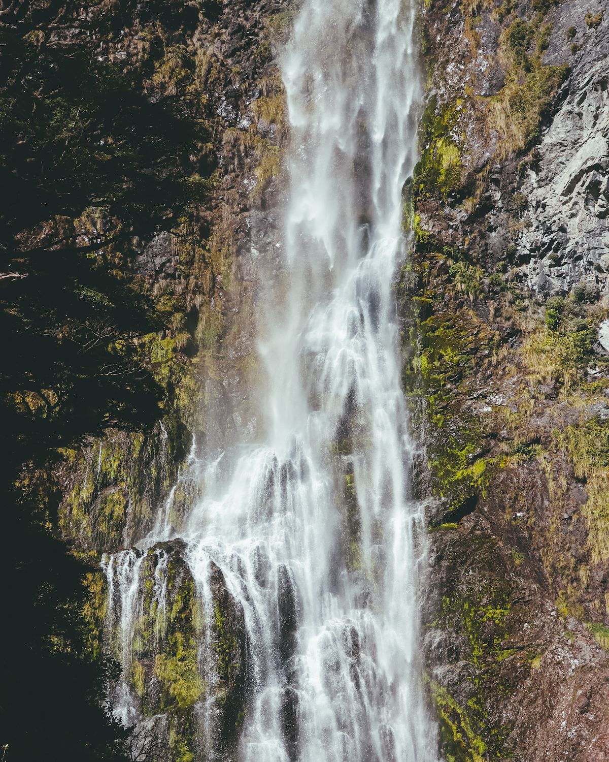 campervan tour of new zealand