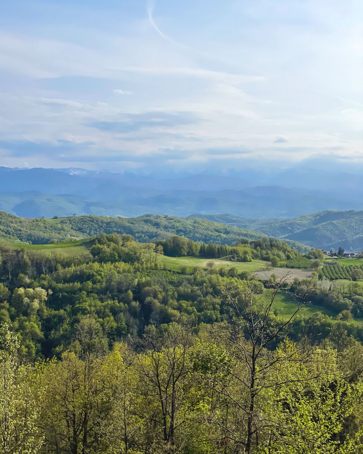 Green hilly landscae with the blue Alps in the background