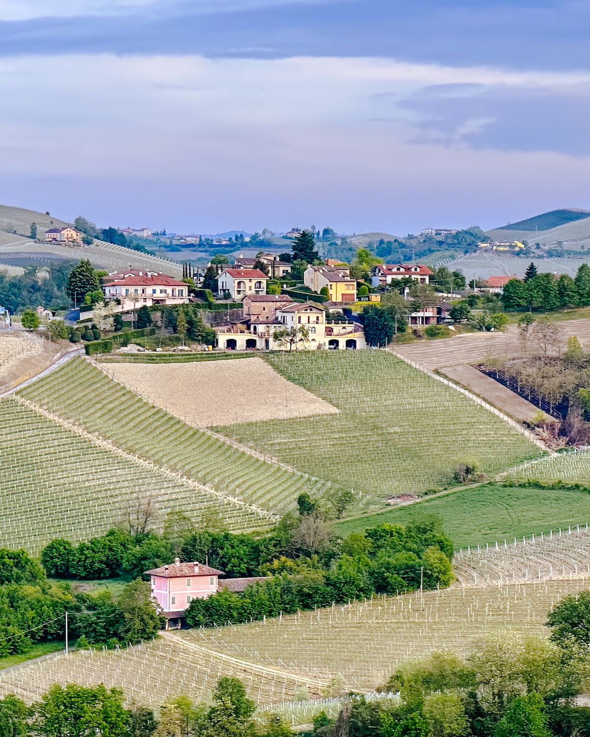 Green vines and houses with terracotta roofs in Barolo