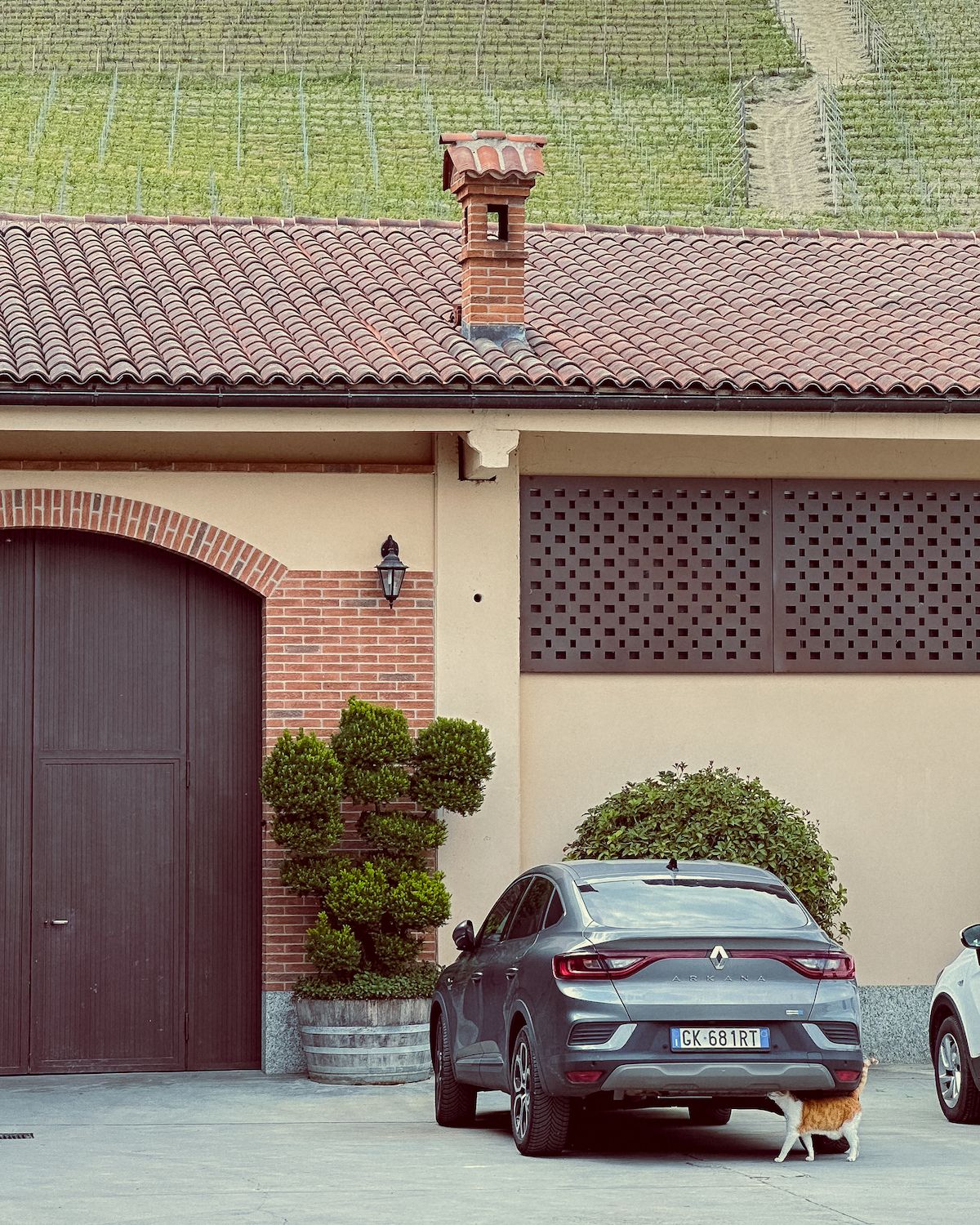 Terracotta roof winery with vines behind it and a grey car with an orange and white cat underneath