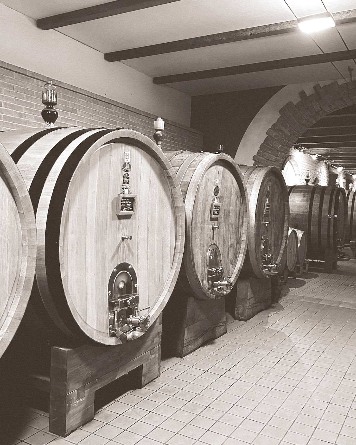 Large oak barrels at Ca' Del Baio 