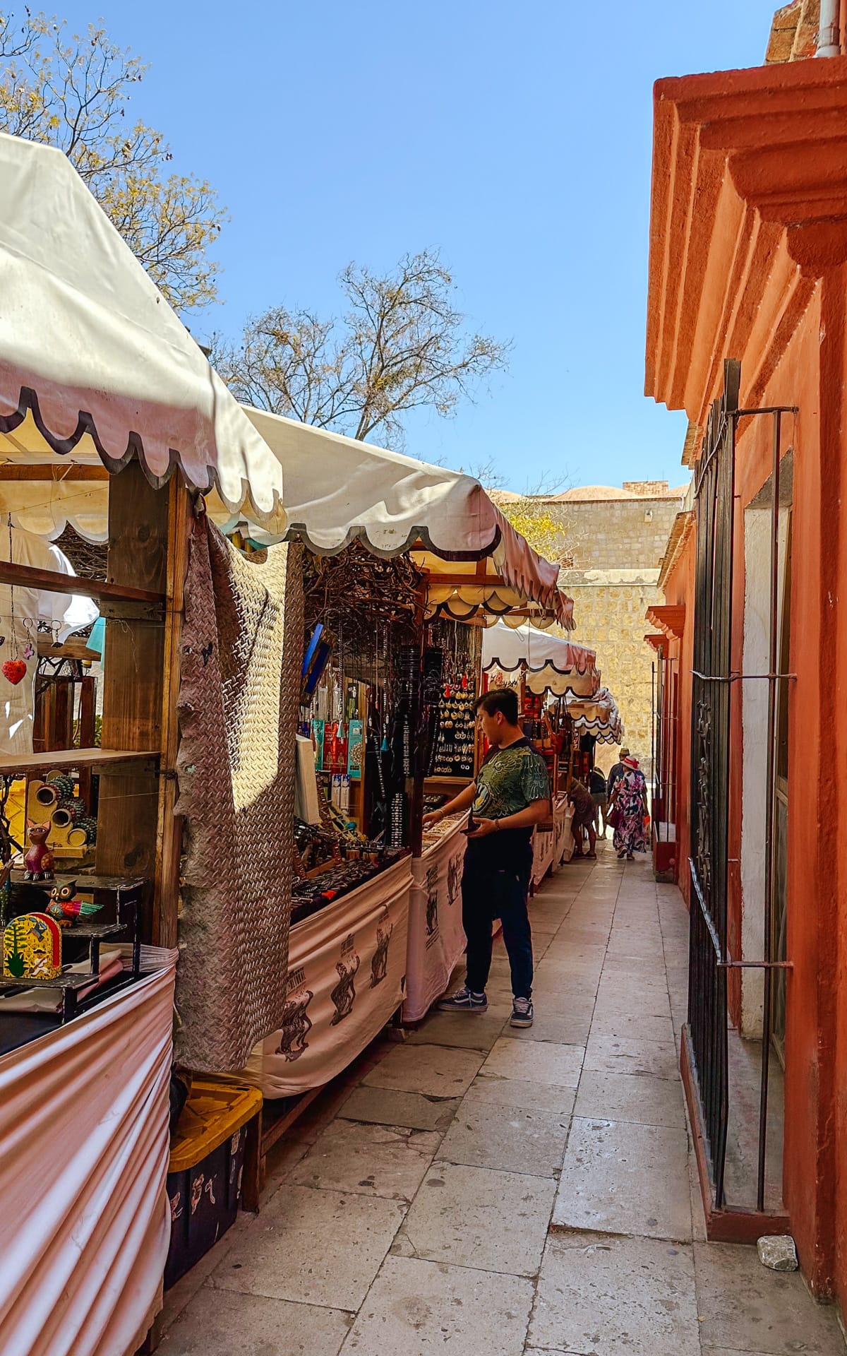 Best Shopping in Oaxaca for Unique Artisan Products