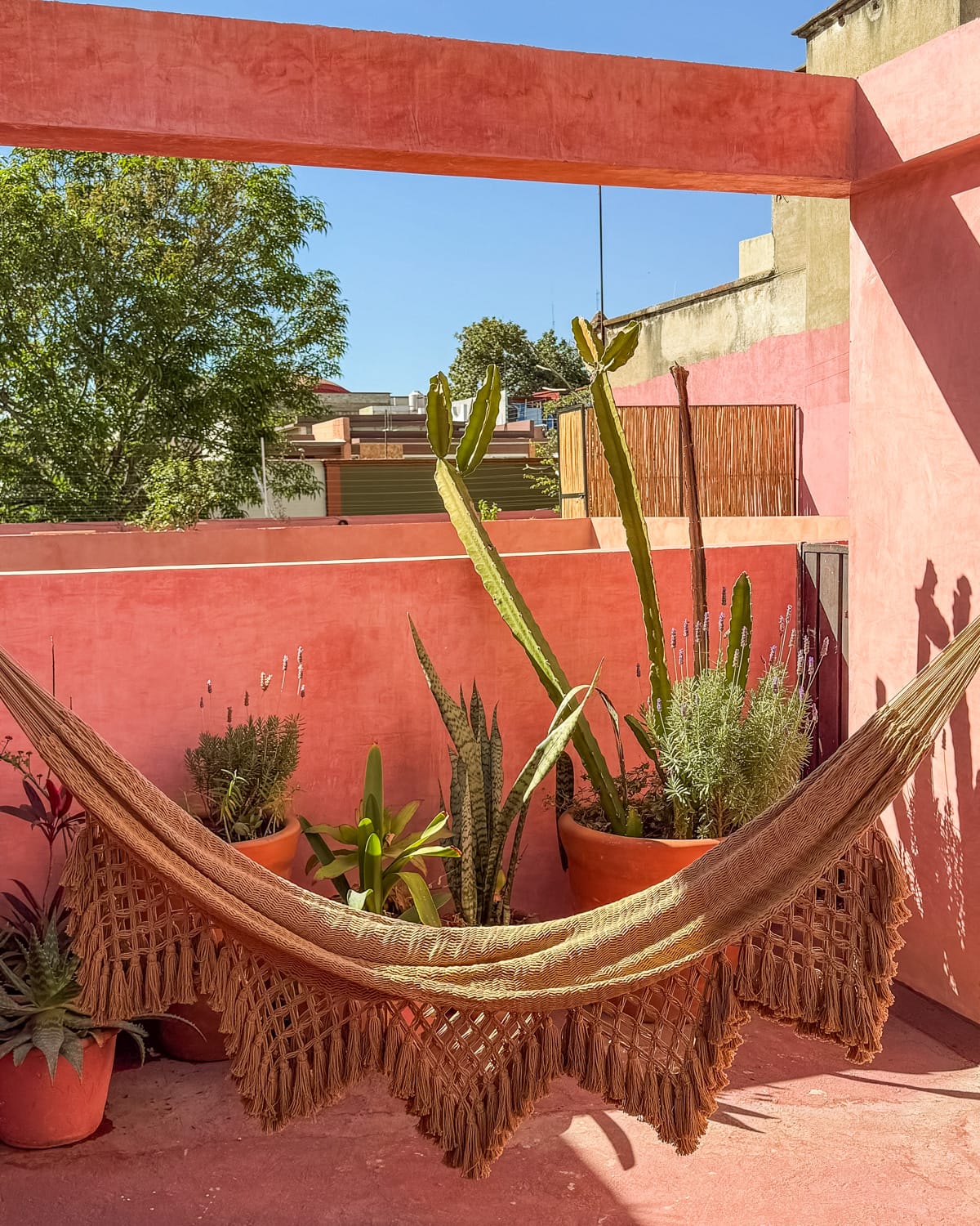 5 Days in Oaxaca to the Scenic Countryside & Oaxaca City