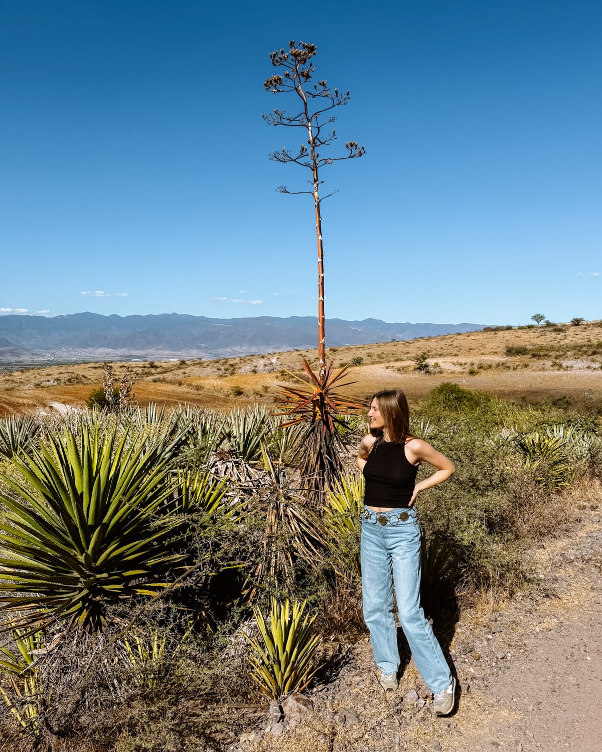 5 Days in Oaxaca to the Scenic Countryside & Oaxaca City