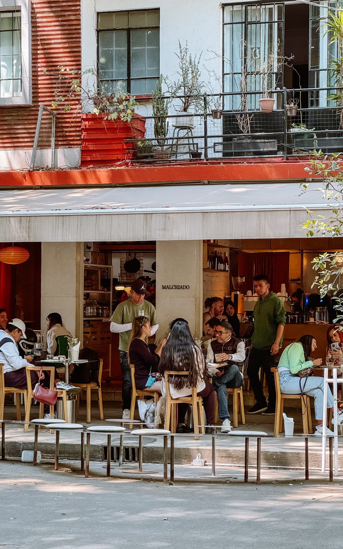 17 Unique Things to do in Condesa, Mexico City