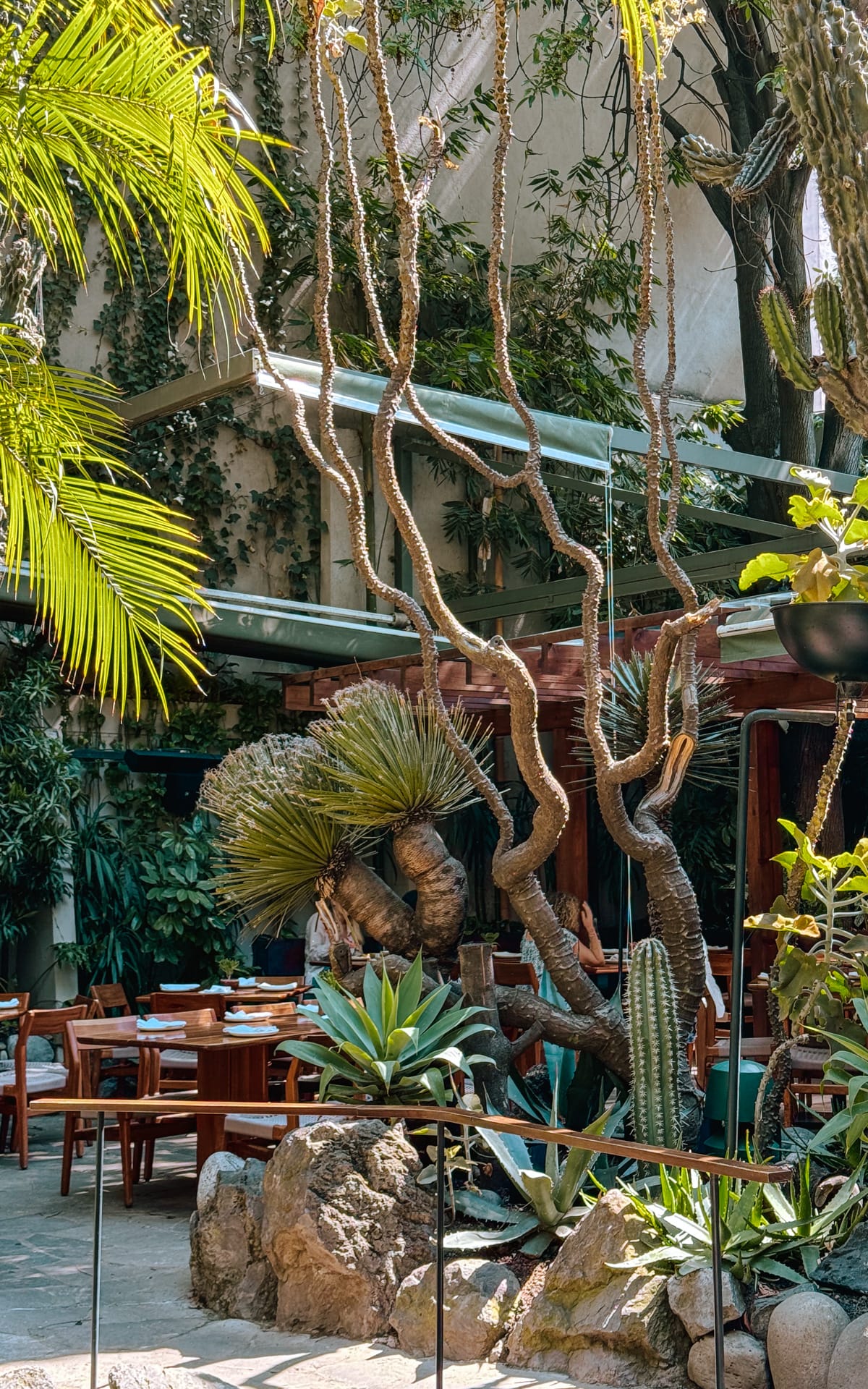 17 Unique Things to do in Condesa, Mexico City
