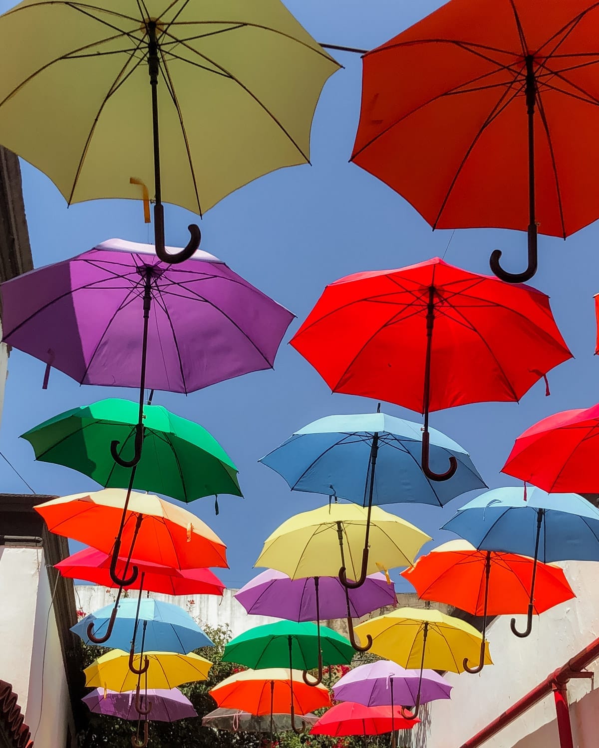 vibrant art installation of rainbow-colored umbrellas floating above a narrow walkway in San Telmo.