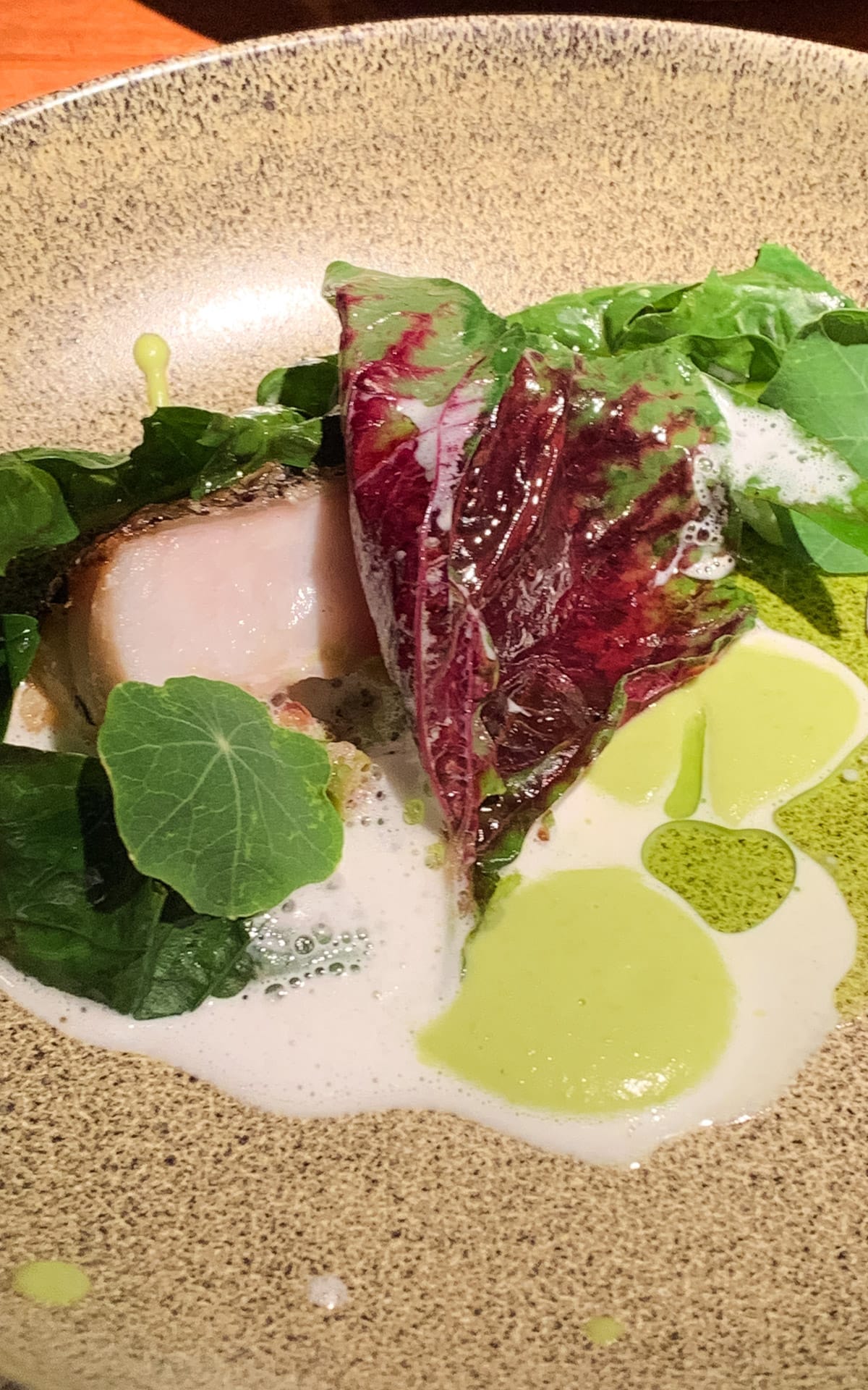 Plated fine dining dish with seared fish, leafy greens, and colourful sauces at Aramburu restaurant.