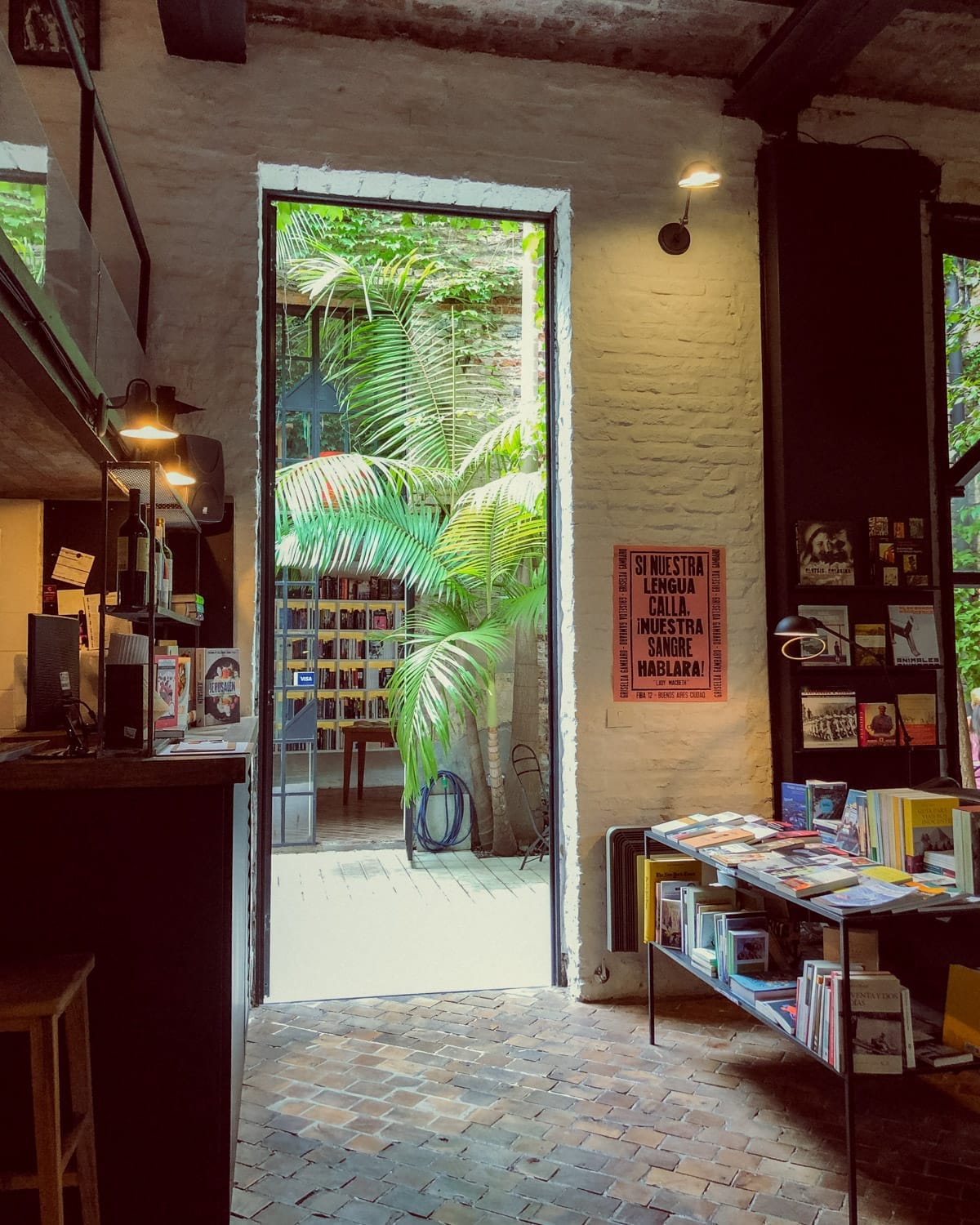 Looking out from the cozy interior of Falena bookstore into a green courtyard with tall palm trees and sunlight.