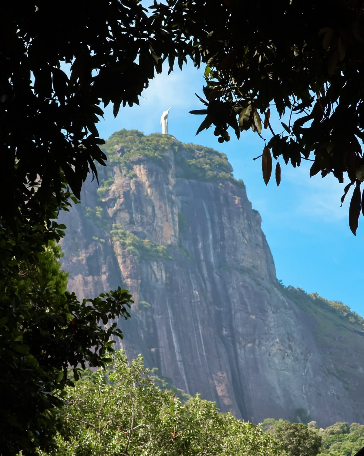 Christ the Redeemer statue peeking through a frame of tropical foliage, offering a unique take on Rio de Janeiro’s most iconic landmark.