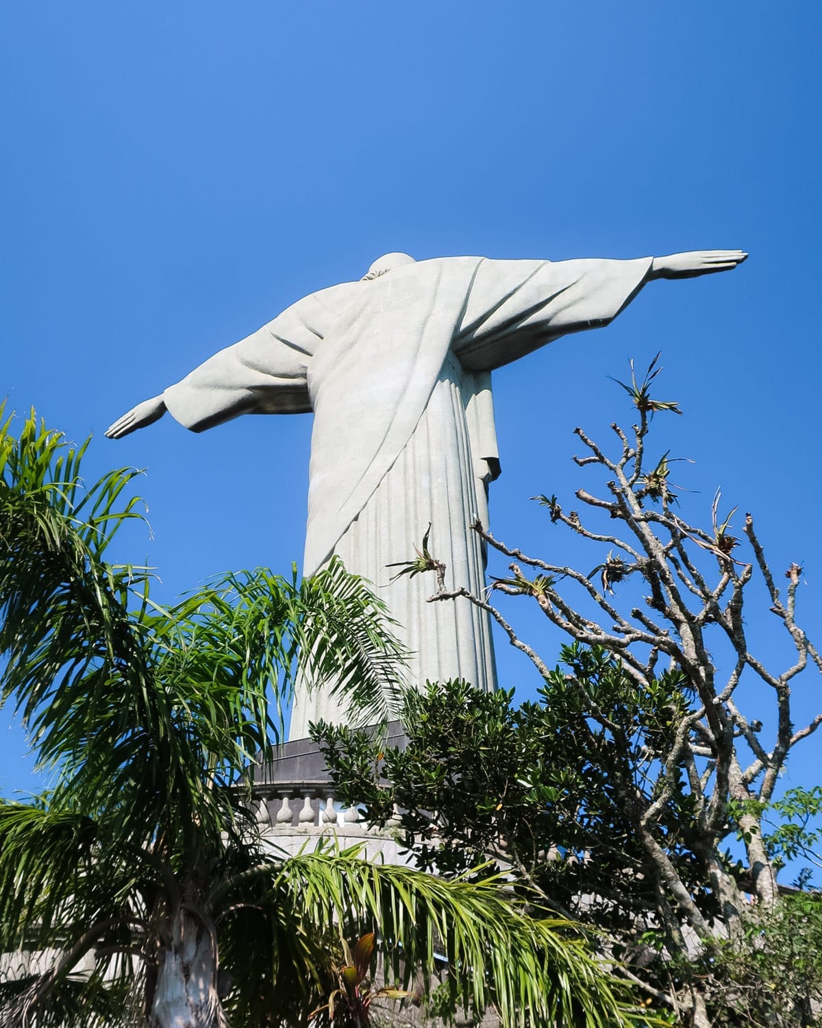 A view from behind the iconic Christ the Redeemer statue, with arms outstretched and framed by tropical plants against a clear blue sky.