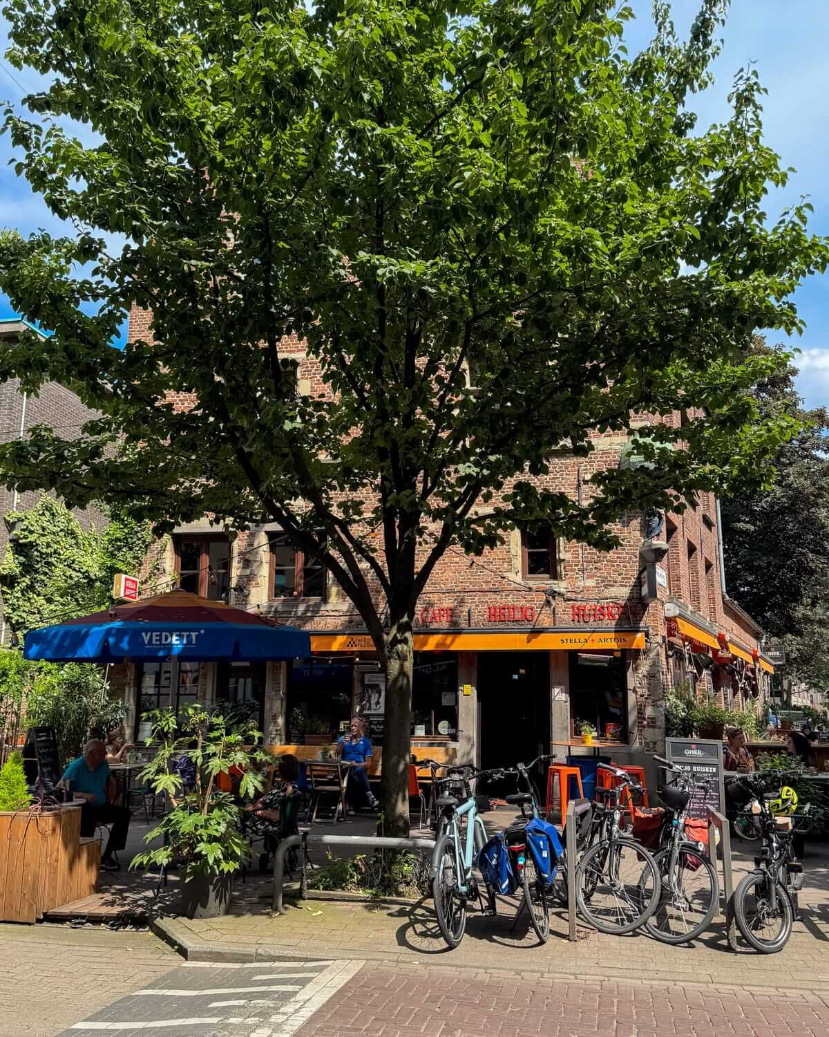 Tree-shaded cafe terrace in front of a brick building with orange awnings and multiple parked bicycles on the street in Antwerp.