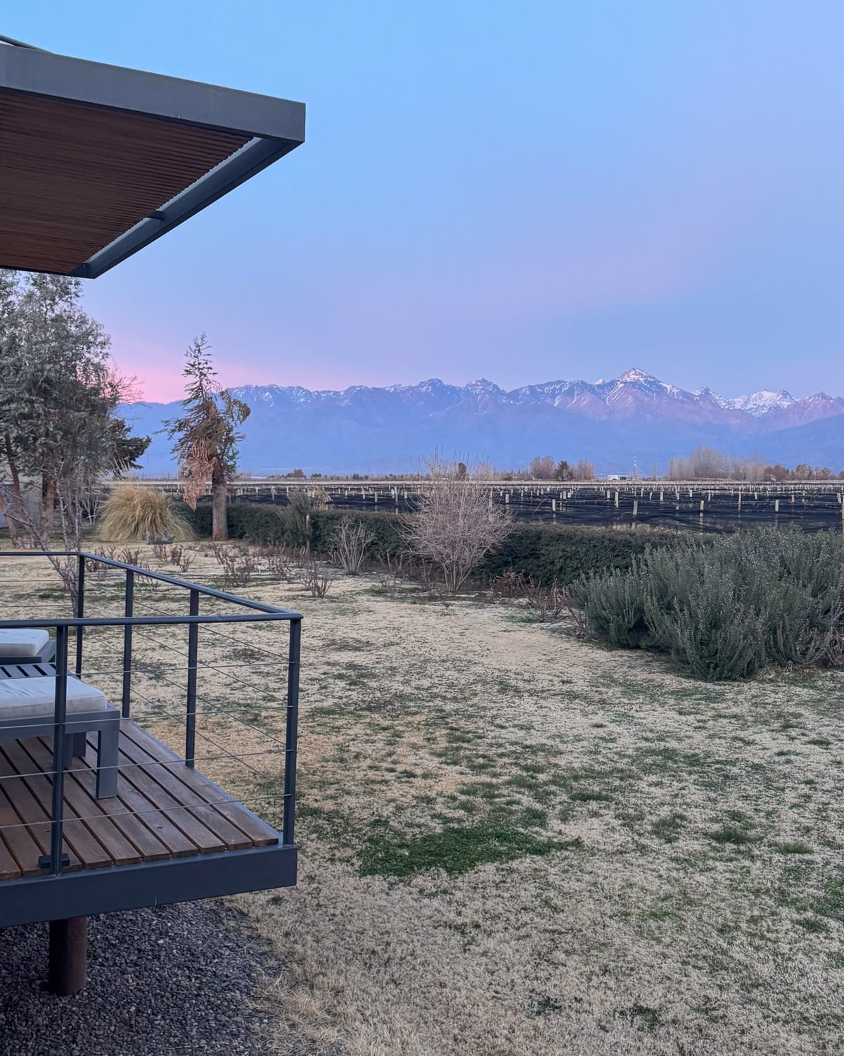 A balcony view across the vineyard at Casa de Huéspedes La Azul, with the snow-dusted Andes in the distance at sunrise and pastel skies glowing overhead.