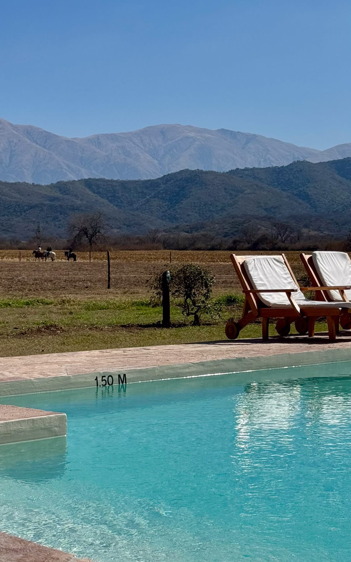 Outdoor pool with lounge chairs and horses grazing in a distant field, framed by the Andes mountains at House of Jasmines.