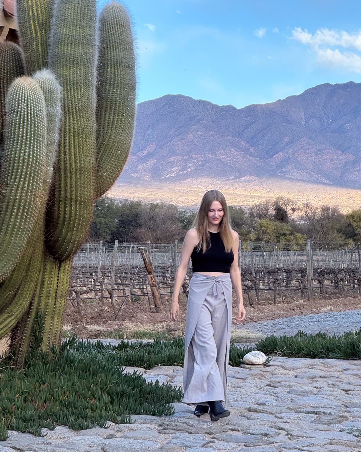 Cec walking beside tall cacti and vineyard rows with the Andes mountains at Bodega Colome.