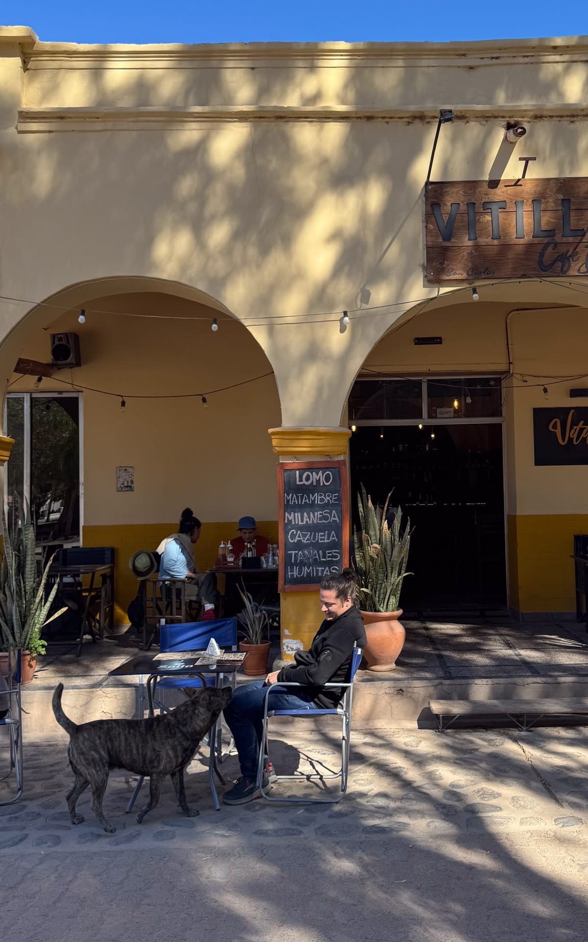 Ari sitting outside Vitilla Resto Bar in San Carlos village, a casual café with local dishes and a friendly dog.
