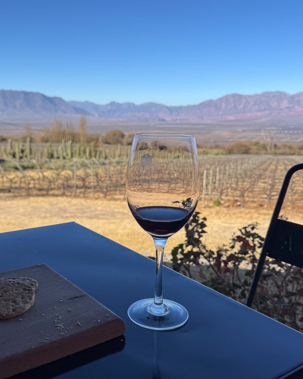 Glass of red wine on a table overlooking vineyard rows and distant mountains at Yacochuya winery.