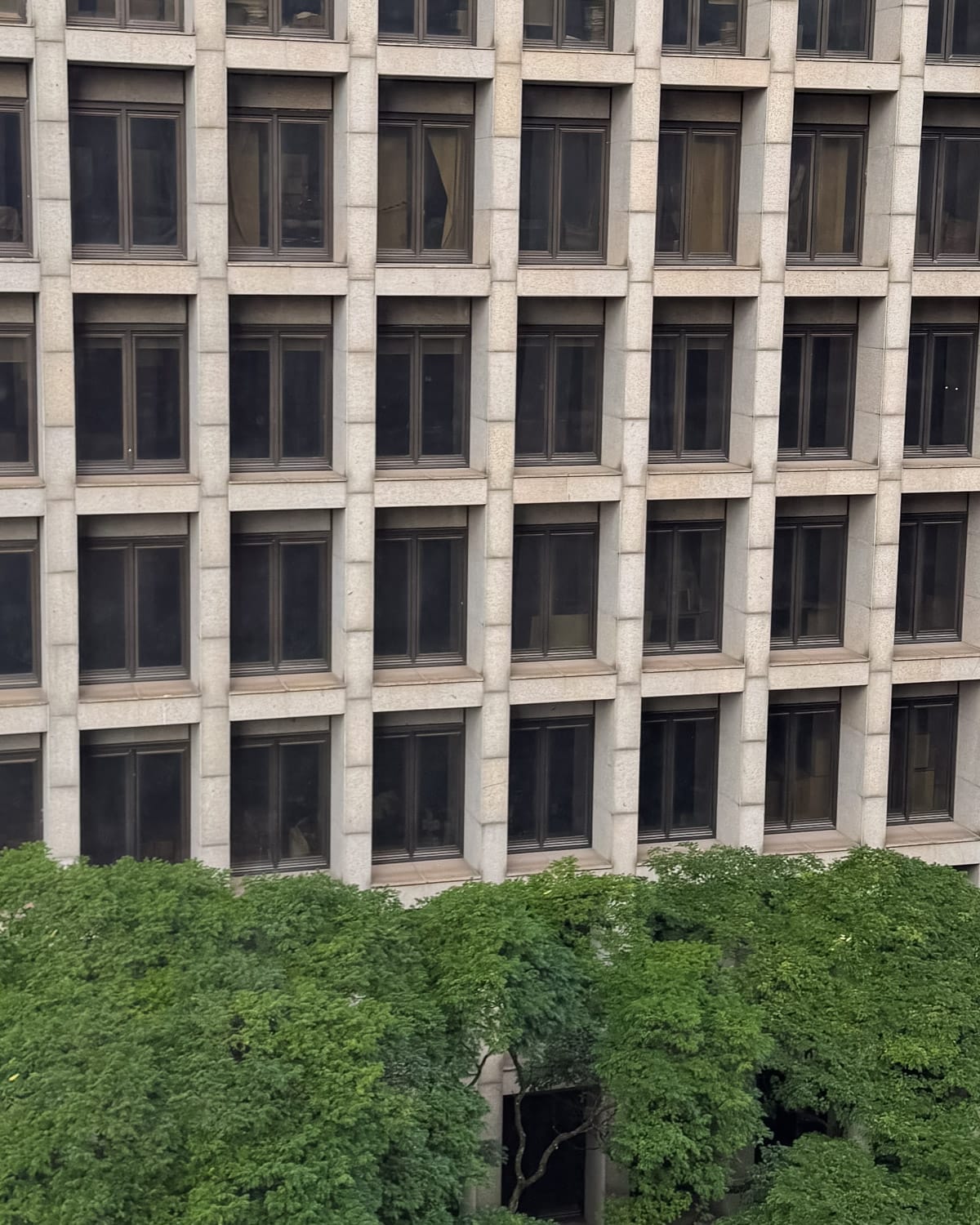 Brutalist building façade in São Paulo with a grid of concrete frames and dark rectangular windows above a row of green trees