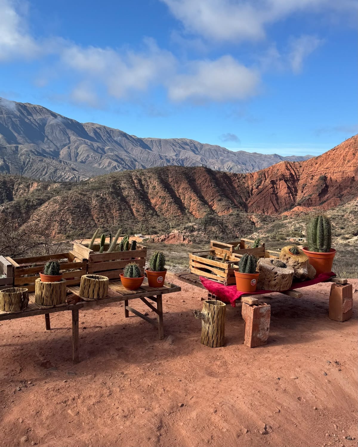 Small potted cacti on wooden stands set against layered red cliffs and mountain scenery at the Mirador S F Escoipe lookout.