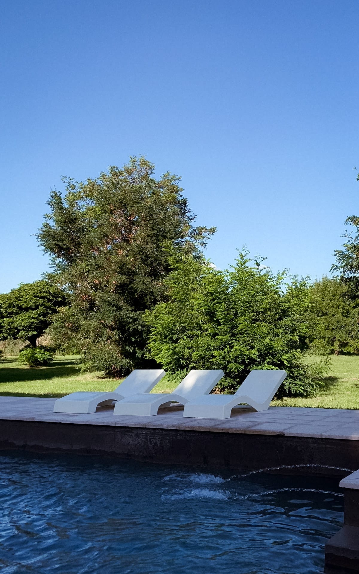 Outdoor pool with white loungers surrounded by green gardens at Casa de Huespedes La Azul in the Uco Valley.