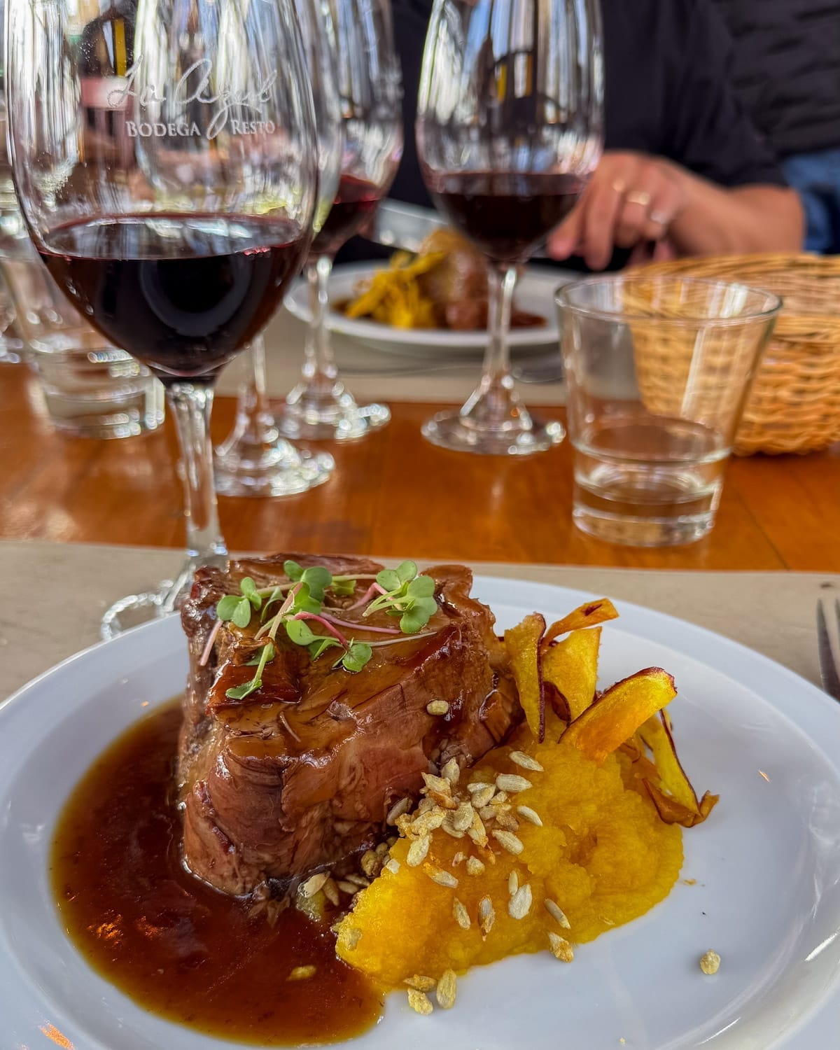 Close-up of braised beef with squash purée, sunflower seeds, and red wine at Bodega La Azul winery restaurant in Mendoza.