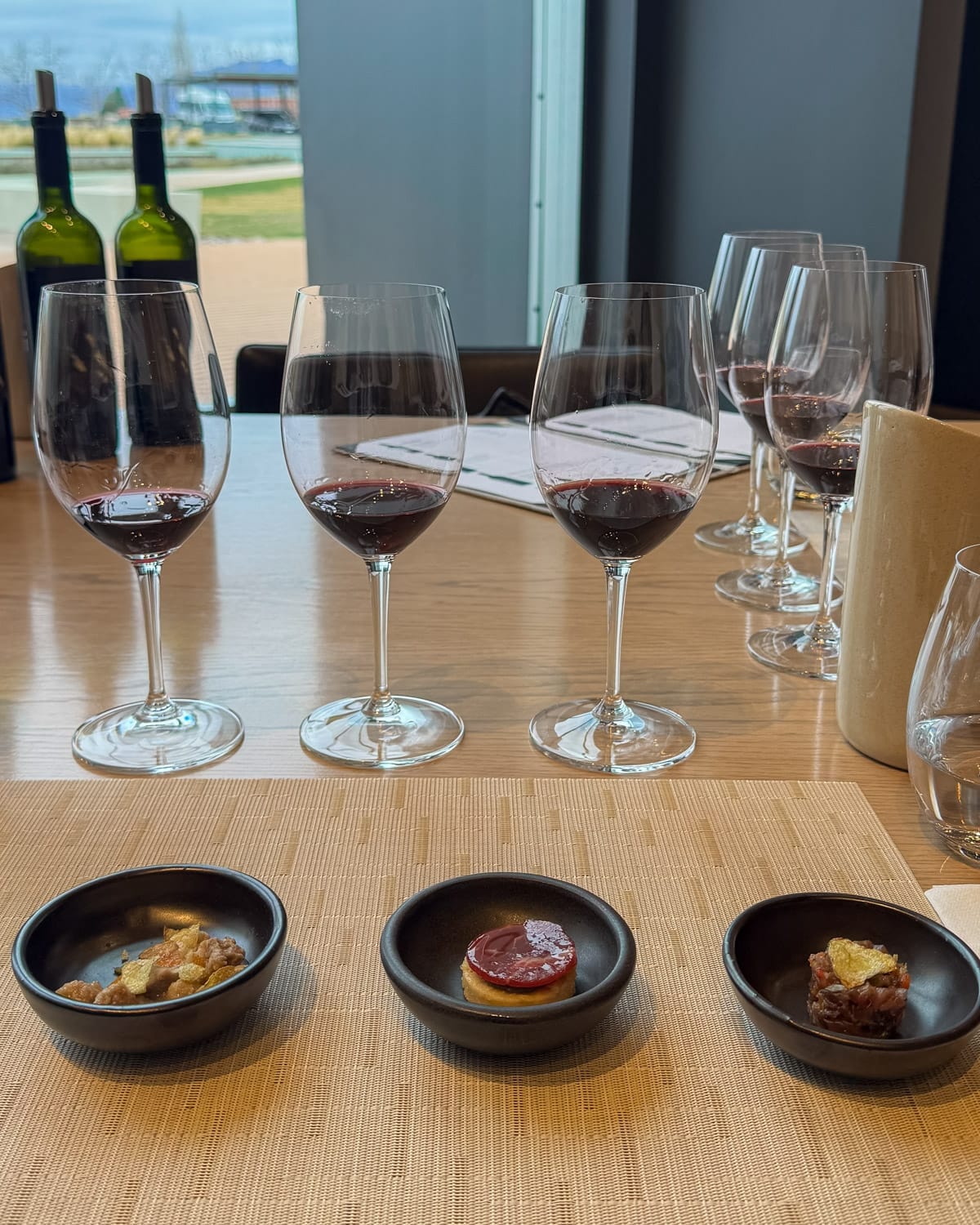 Wine tasting setup at Vina Cobos with red wine glasses and small food pairings overlooking the vineyard.
