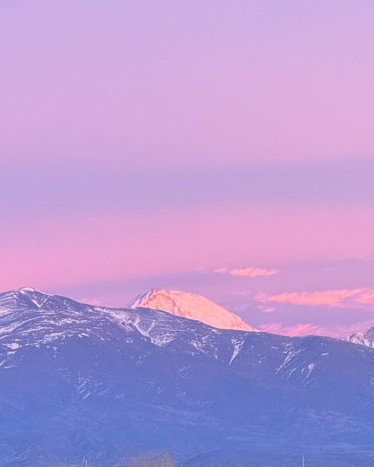 Pink and purple Andes mountains at sunrise in Mendoza, Argentina, with snow-capped peaks glowing in soft morning light.