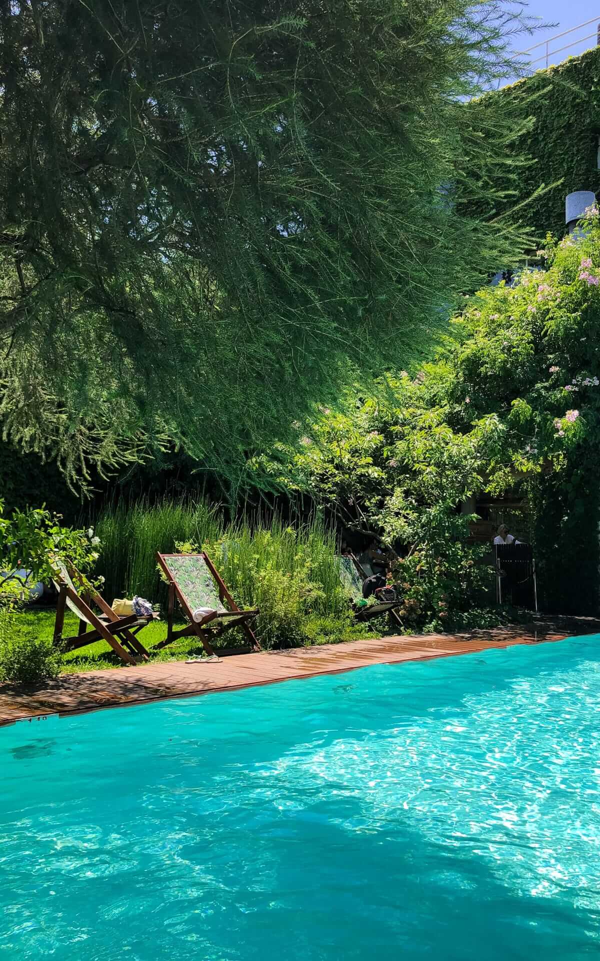 Lush garden pool surrounded by trees and lounge chairs at Home Hotel Buenos Aires on a sunny day.