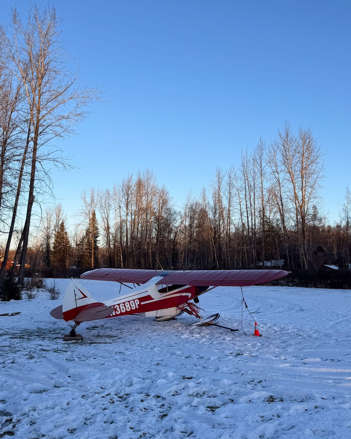 A classic Alaskan bush plane sits quietly on its skis in a snow-covered field, surrounded by tall, leafless trees under a crisp blue sky.