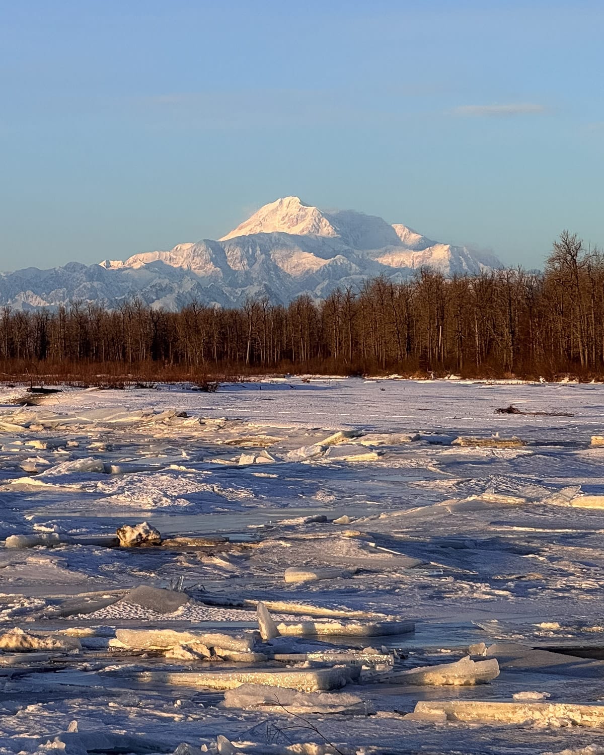 Snow-covered Denali rising above a frozen river and tree line in soft evening light at the Denali Lookout in Talkeetna.