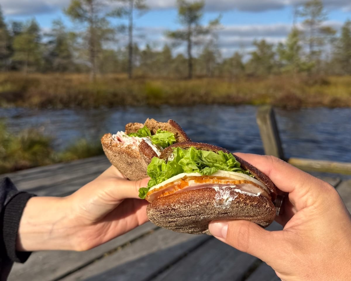 Picnic sandwich on dark rye bread held over a bog lake boardwalk in Estonia.