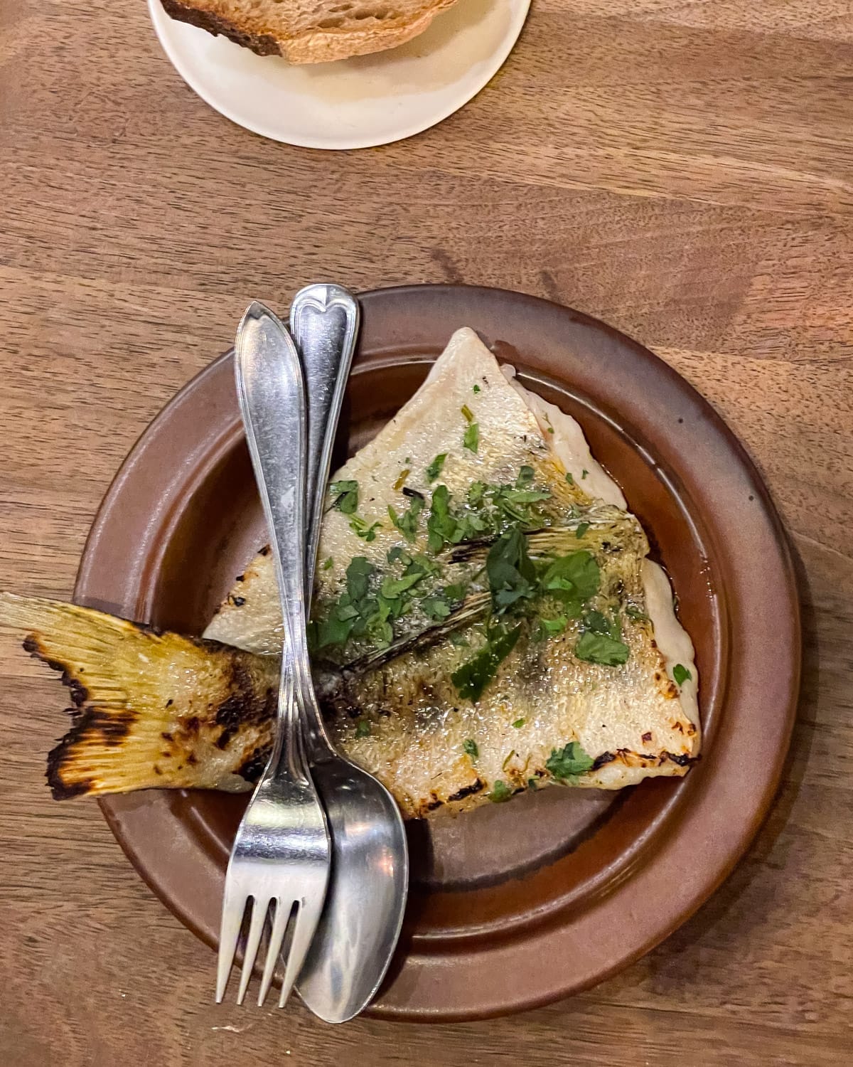 Grilled fish with herbs served on a brown ceramic plate at a Nolla restaurant.