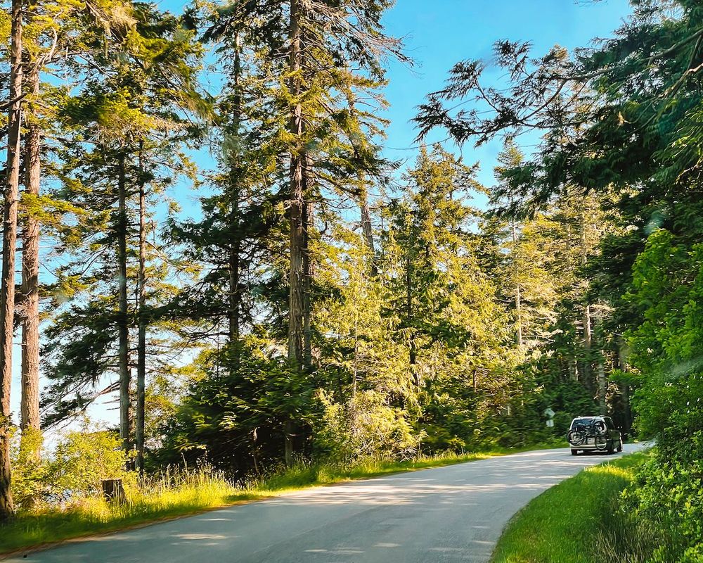 23 Best Things to do on Hornby Island BC hidden gems included