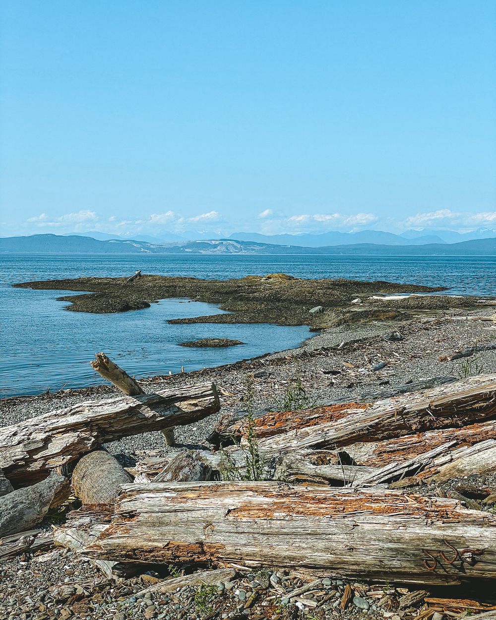 23 Best Things to do on Hornby Island BC hidden gems included