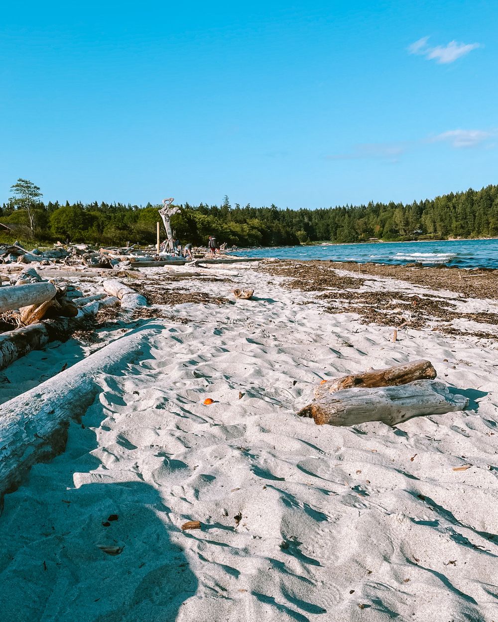 23 Best Things to do on Hornby Island BC hidden gems included