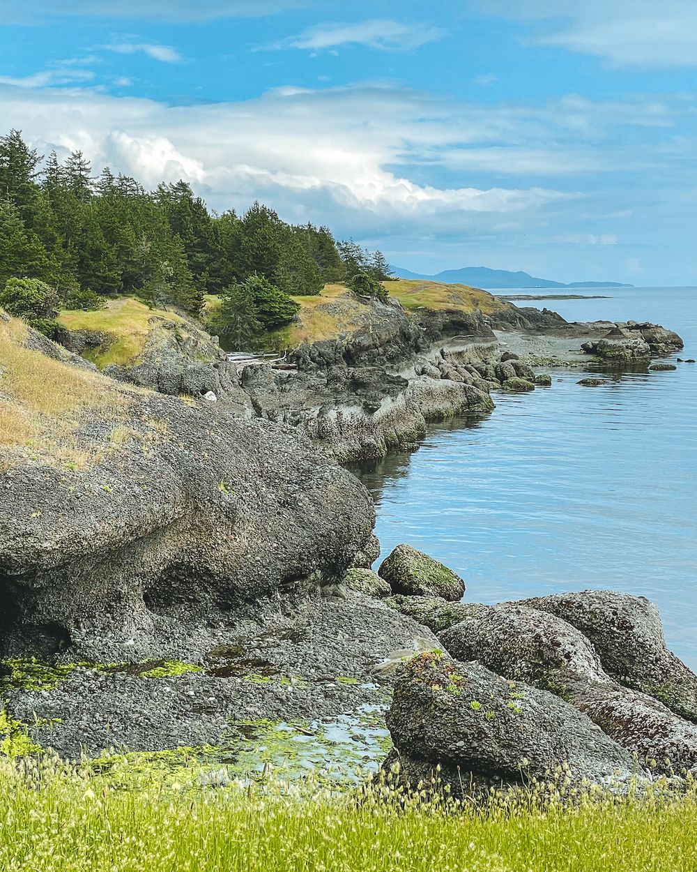 23 Best Things to do on Hornby Island BC hidden gems included