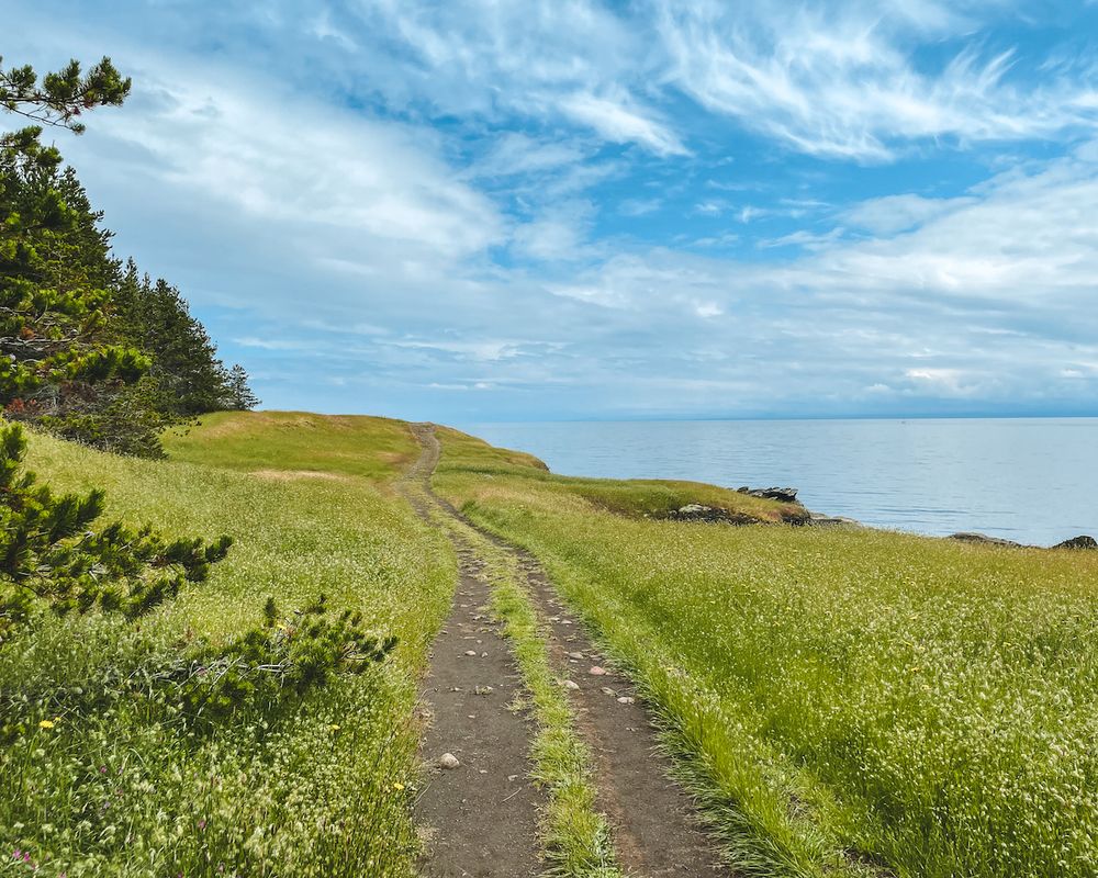 23 Best Things to do on Hornby Island BC hidden gems included