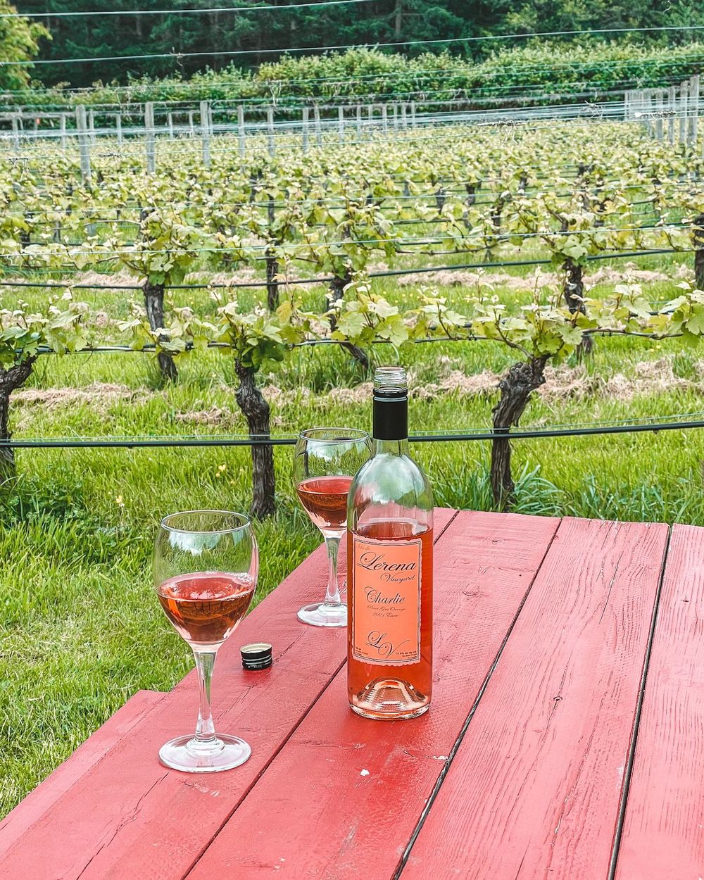 23 Best Things to do on Hornby Island BC hidden gems included