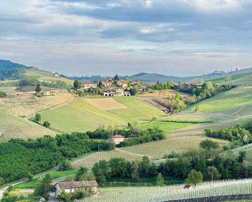 3 Day Piedmont itinerary - Italy's Underrated Wine Region